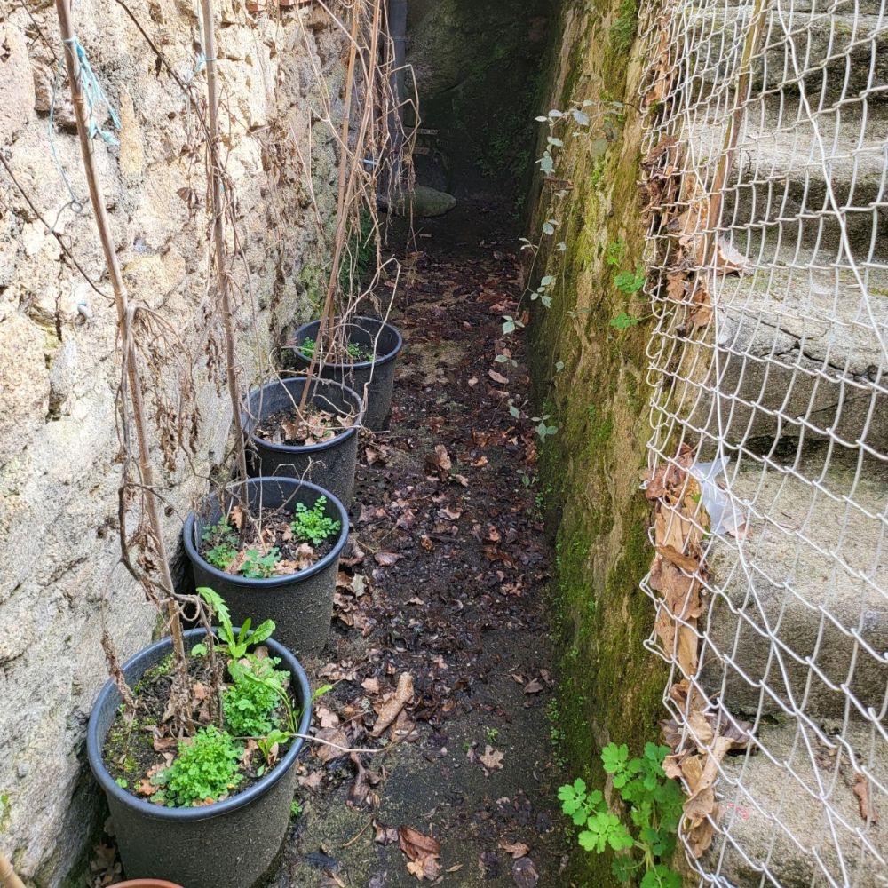 before pressure washing